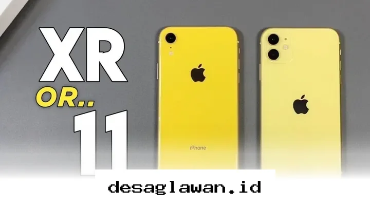 iPhone 11 vs iPhone XR: Mana yang Lebih Unggul di Tahun 2024?