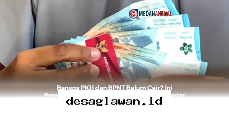 Mengapa Bansos PKH dan BPNT Belum Cair? Simak Penyebabnya dan Cara Perbaiki Data DTSEN Agar Segera Diproses!