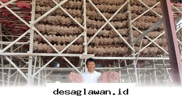 Cara Bank Indonesia Kendalikan Inflasi Pangan di Tahun 2026 Lewat Gebrakan Baru!