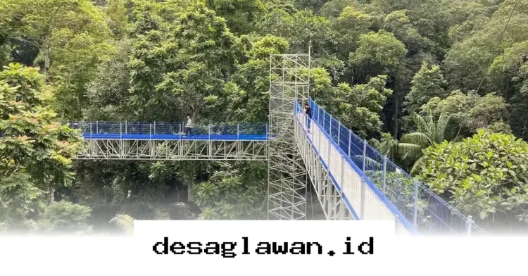 Cara Mudah Cairkan Pinjaman 500 Ribu di DANA Tanpa Ribet!