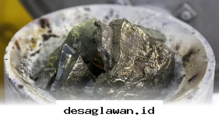 Harta Karun Tersembunyi di Balik 1,2 Juta Hektar Lahan Indonesia yang Menentukan Masa Depan Energi Dunia
