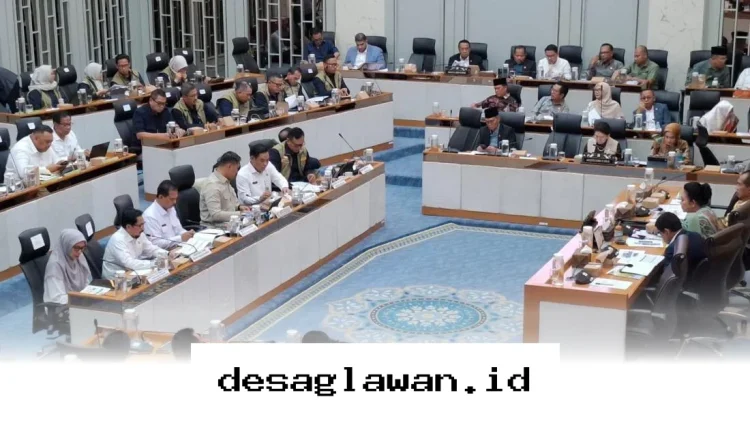 Indonesia Berpeluang Kirim 500 Ribu Ton Beras ke Pasar Global pada 2026 berkat Surplus Produksi!